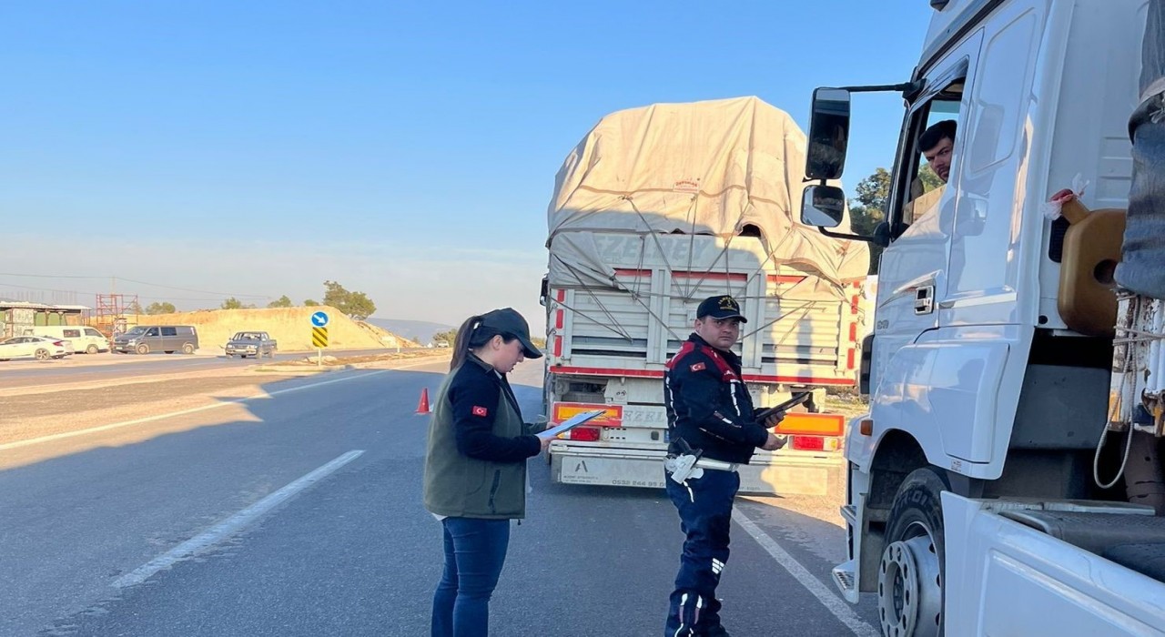 Mersinde ormanlık alanlarda önleme aramaları sürüyor