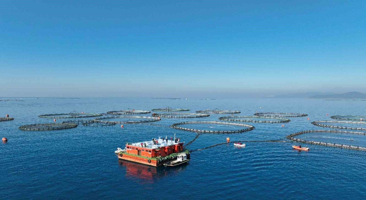 Muğlada su ürünlerinden 624,6 milyon dolar gelir