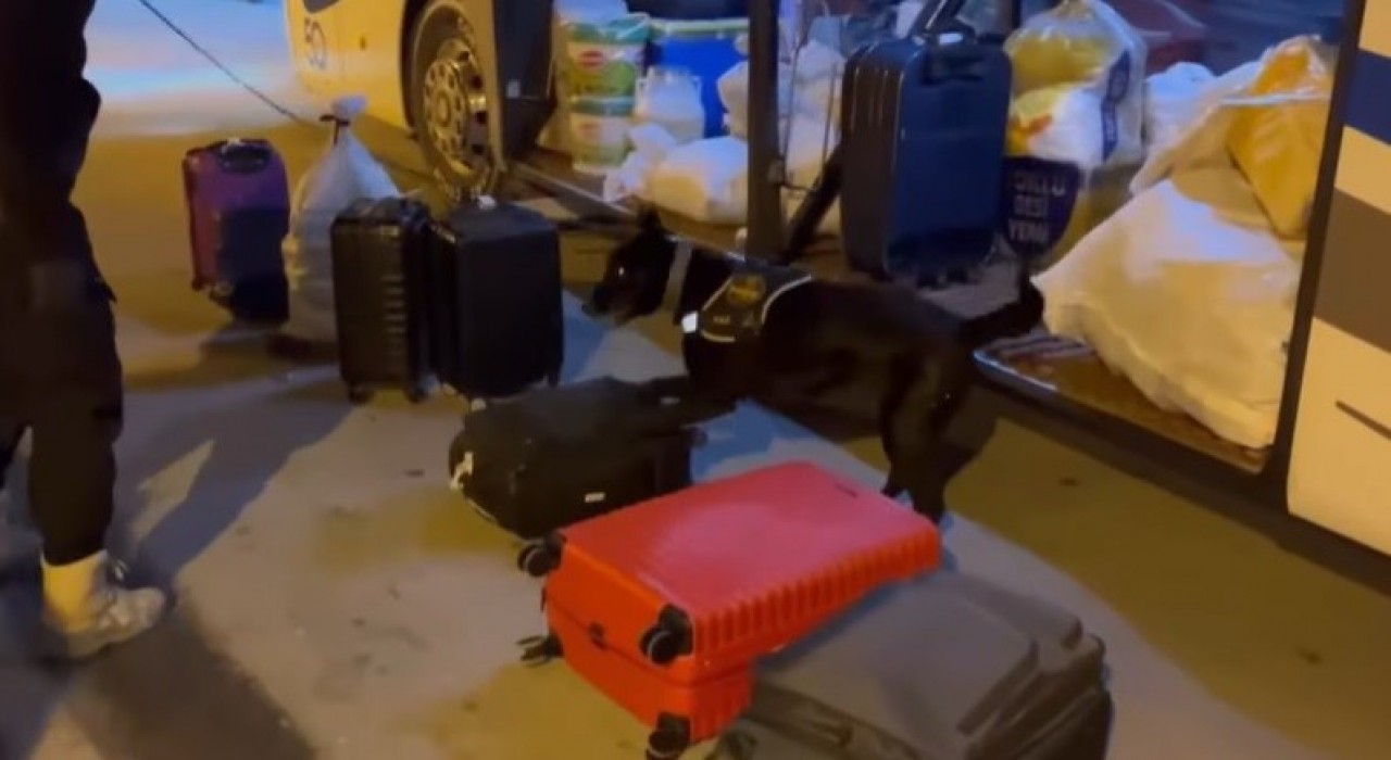 Narkotik köpeği Naz zehir tacirlerine geçit vermiyor