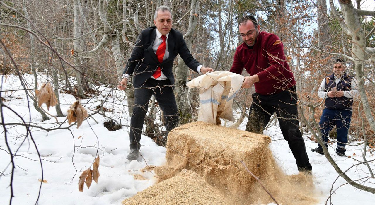 Osmaniye Belediyesi’nden Yaban ve Sokak Hayvanlarına Kış Desteği