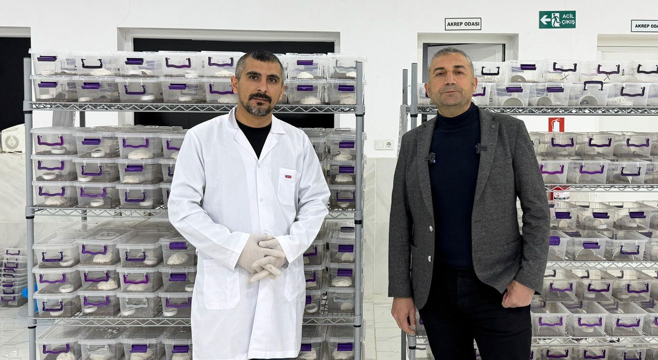 Osmaniye, Türkiye’nin Akrep Üretim Merkezi Olmaya Aday