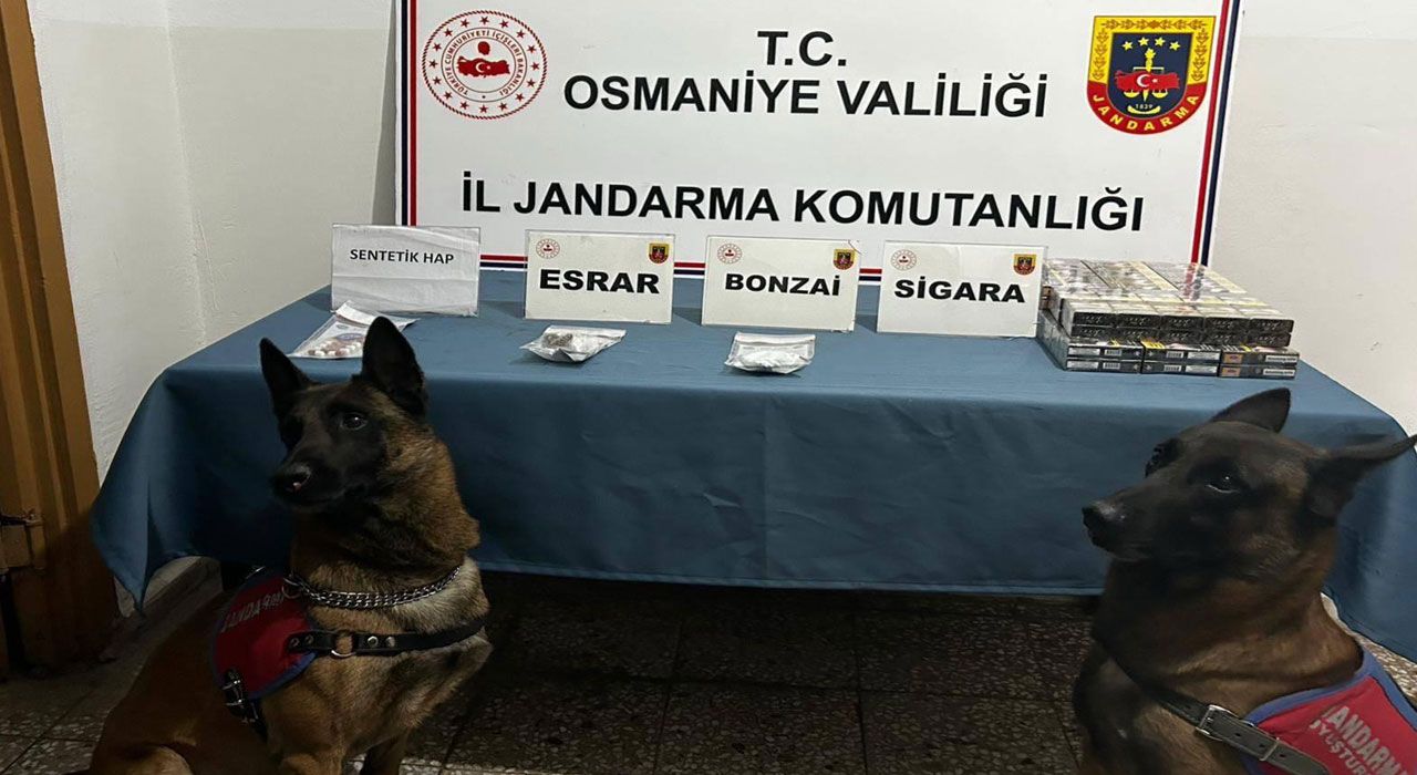 Osmaniye’de Jandarmadan Suç ve Suçlulara Darbe