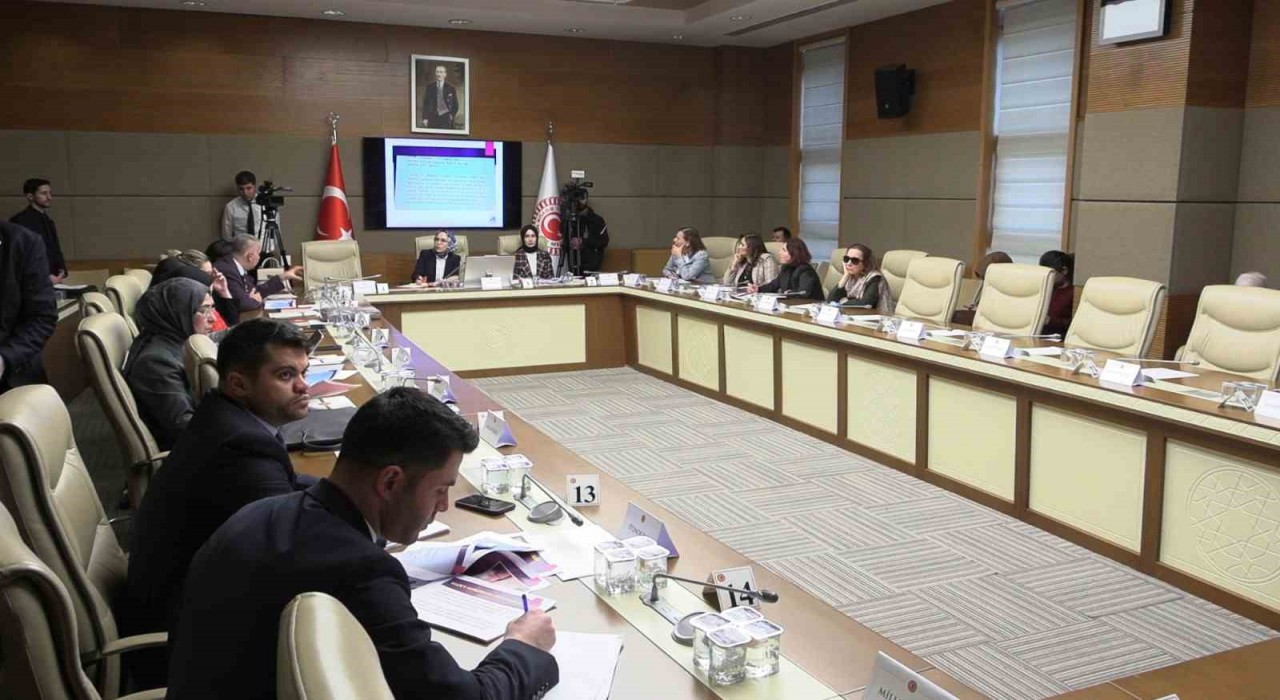 TBMMde komisyonda konuşan Psikiyatrist Tarhan: 1994-2016 arasında tek kişilik haneler hızla artıyor, 5 kişilik haneler hızla azalıyor