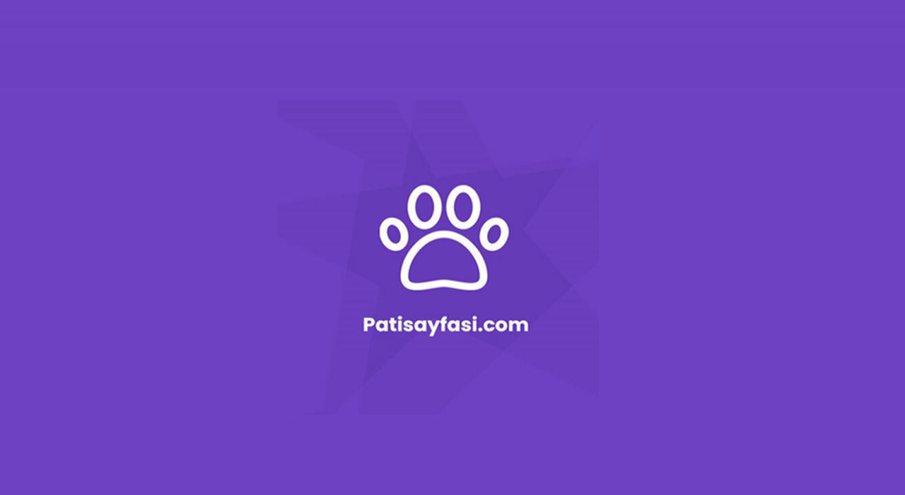 Toy Poodle: Sevimliliği ve Zekâsıyla Gönülleri Fetheder
