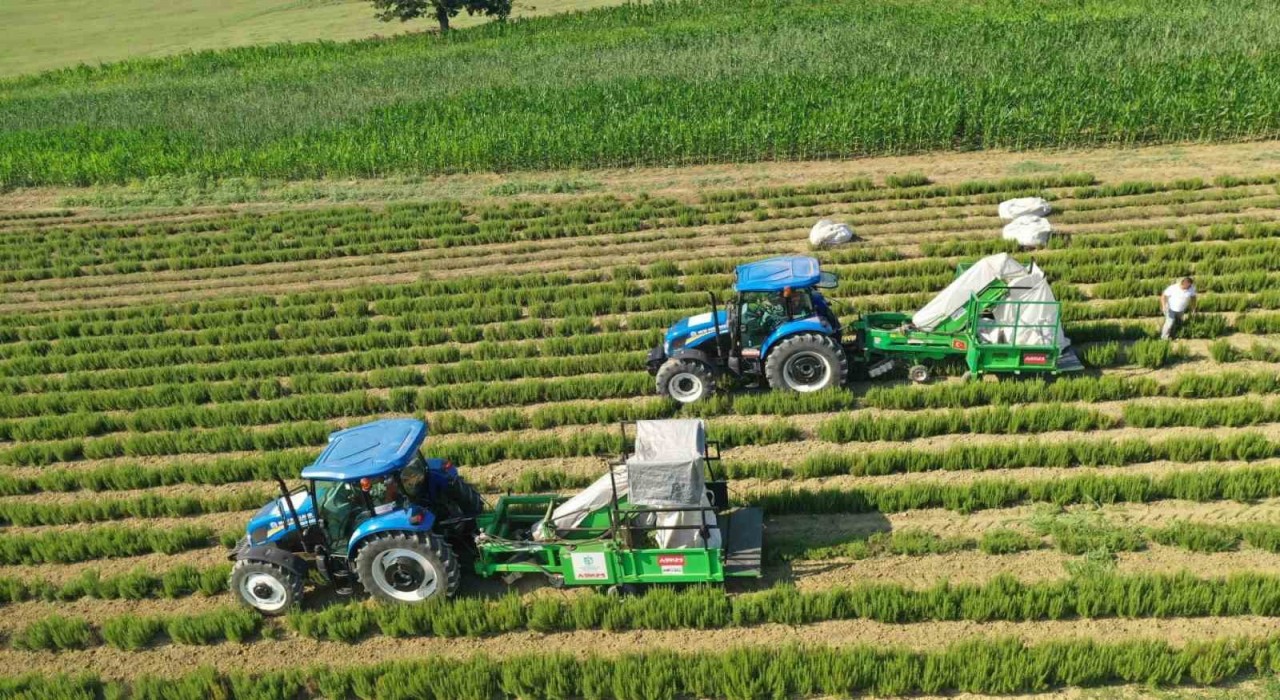 Üreticiye 6 yılda 1 milyar TLlik destek