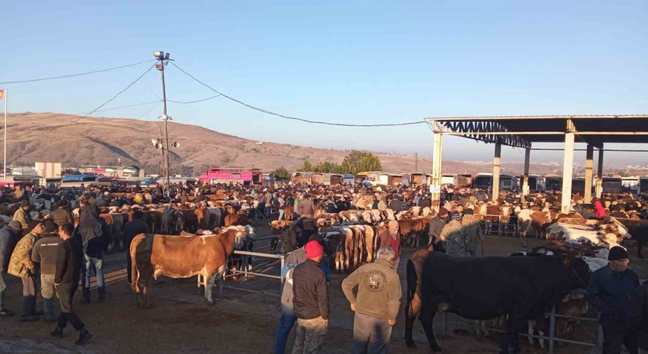 Yozgatta üç ilçede hayvan pazarları geçici olarak kapatıldı