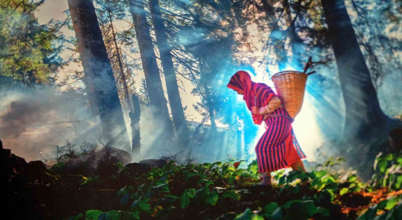 9 bine yakın fotoğraftan 14ü ödüle layık görüldü