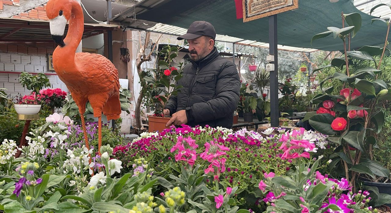 Ağabeyinin Hatırasını Botanik Kafede Yaşatıyor