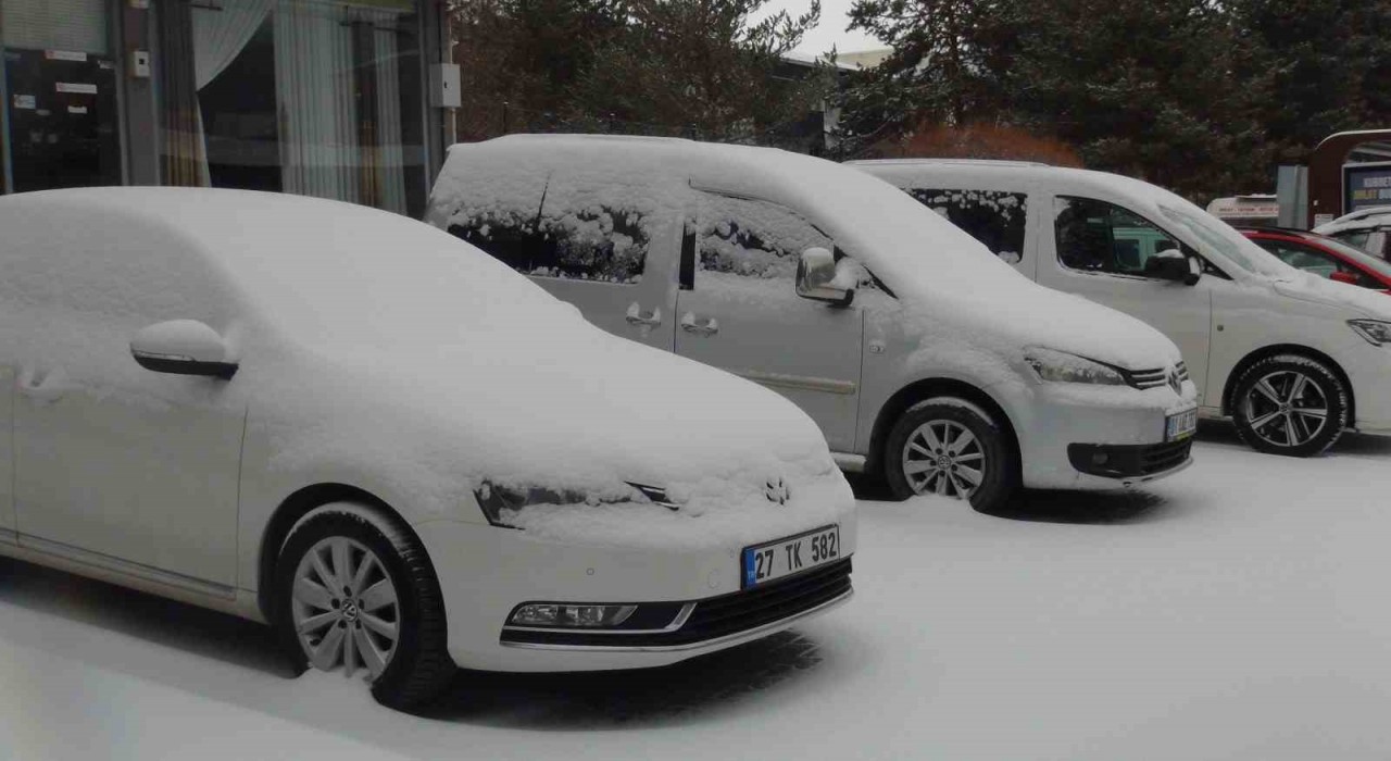 Ahlatta kar yağışı, 8 köy yolu ulaşıma kapandı