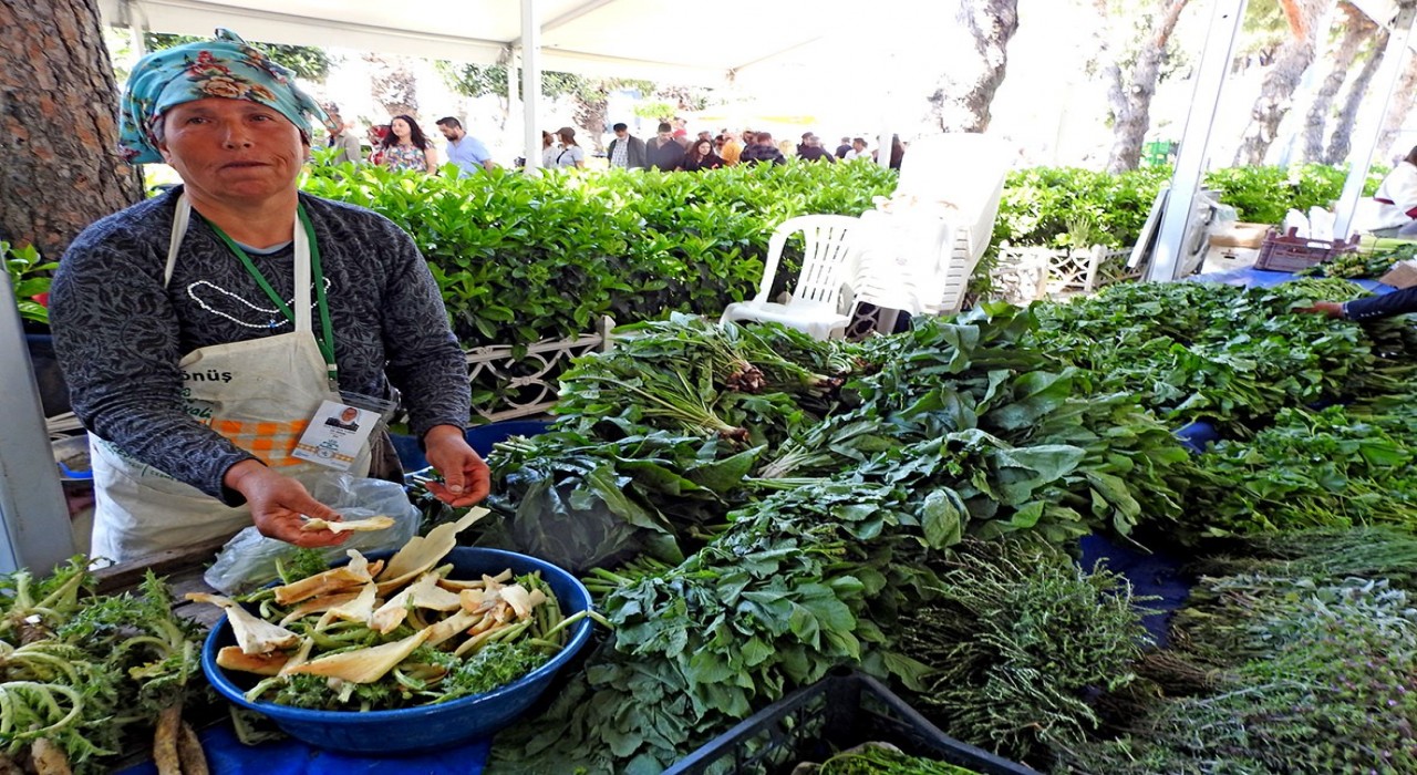 Alaçatı Ot Festivali stant başvuruları başladı