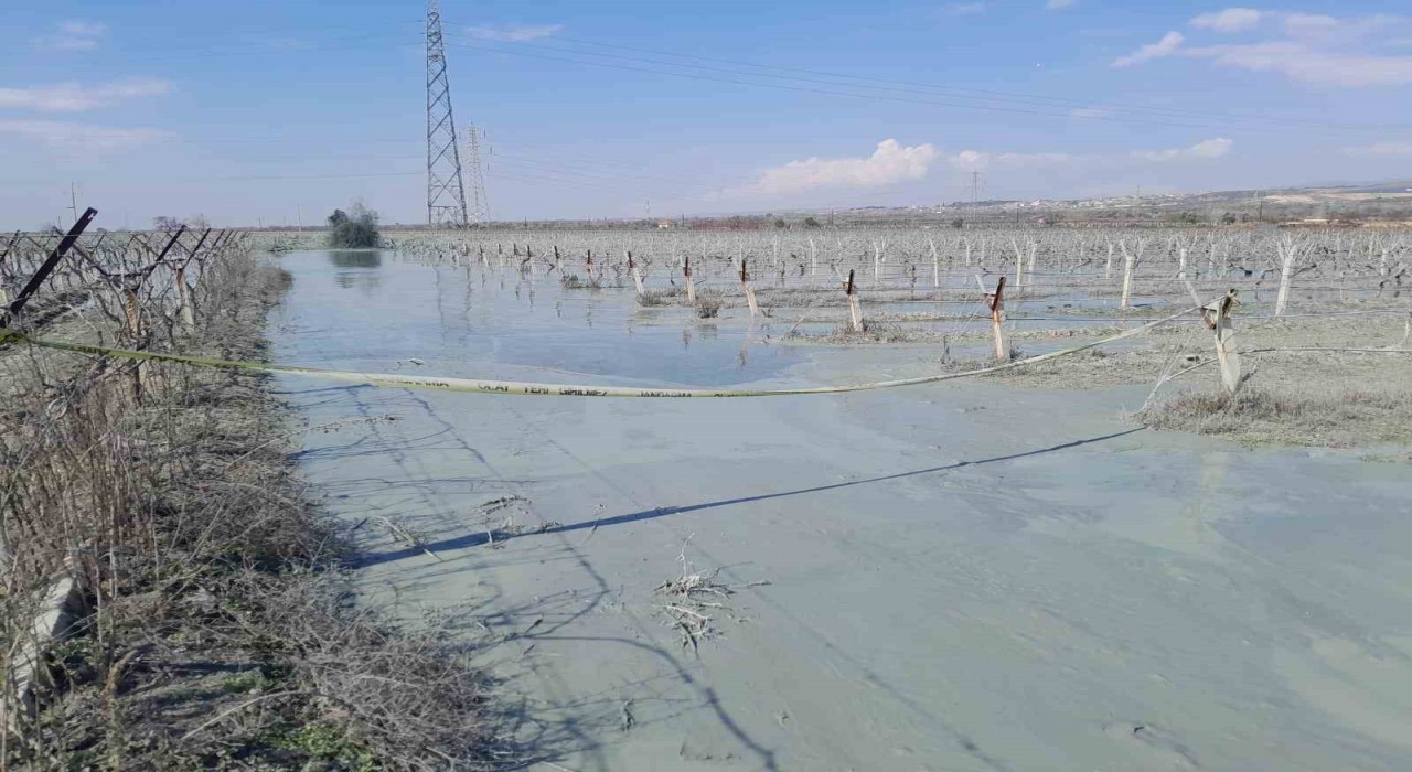 Alaşehirde üzüm bağı içinde korkutan patlama
