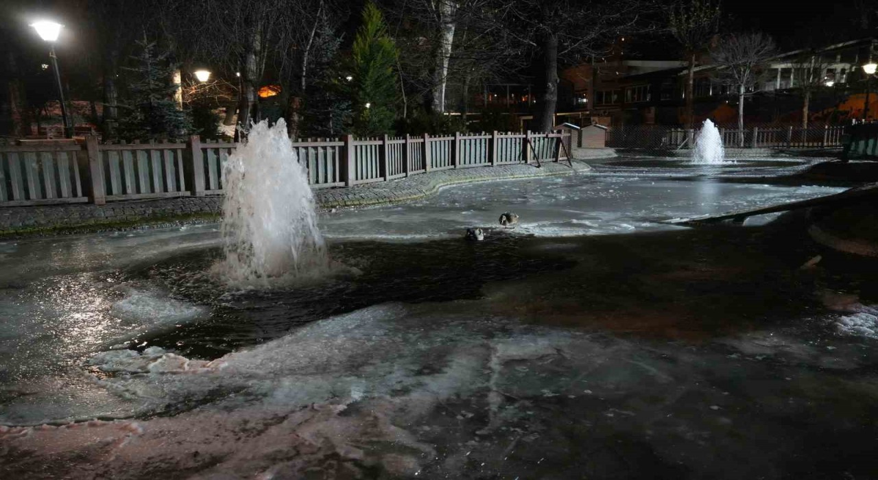Ankarada hava sıcaklığı eksi 10 dereceye düştü: Kuğulu Parkın havuzu dondu