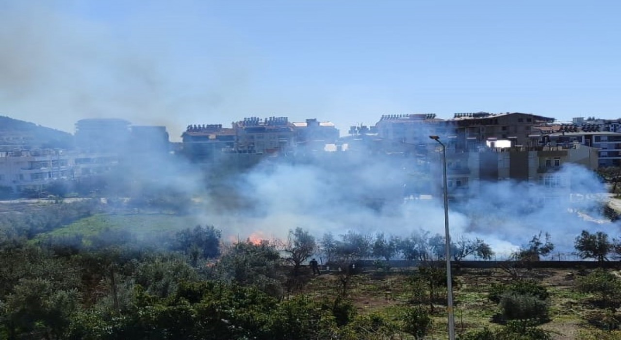 Antalyada sazlık alandaki yangın kontrol altına alındı