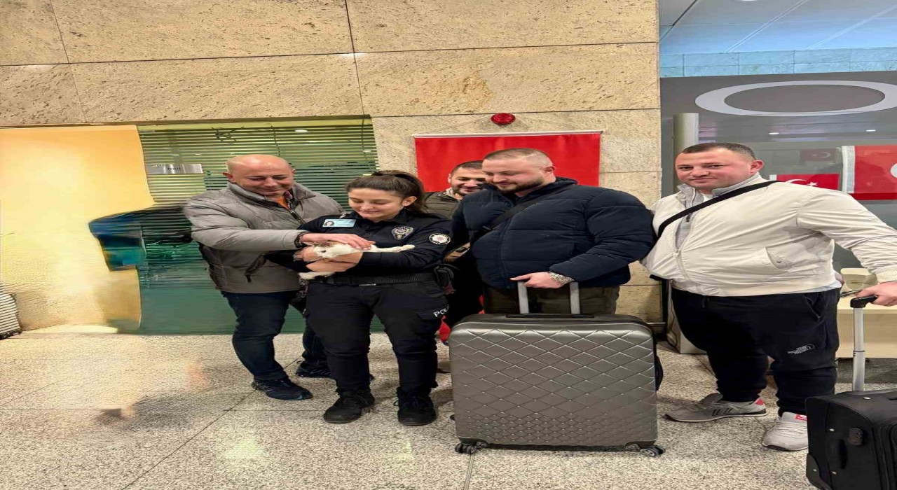 Araçta kilitli bırakılan kediyi polisler kurtardı