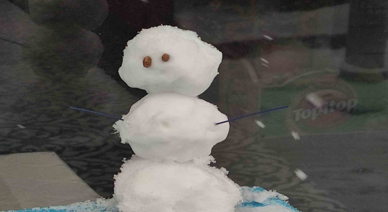 Ardahanda kar yağışı: 119 köy yolu kapalı