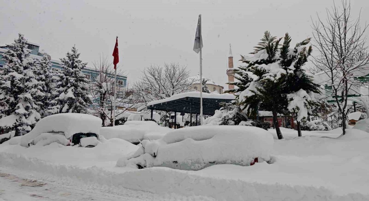Artvin şehir merkezinde kar esareti