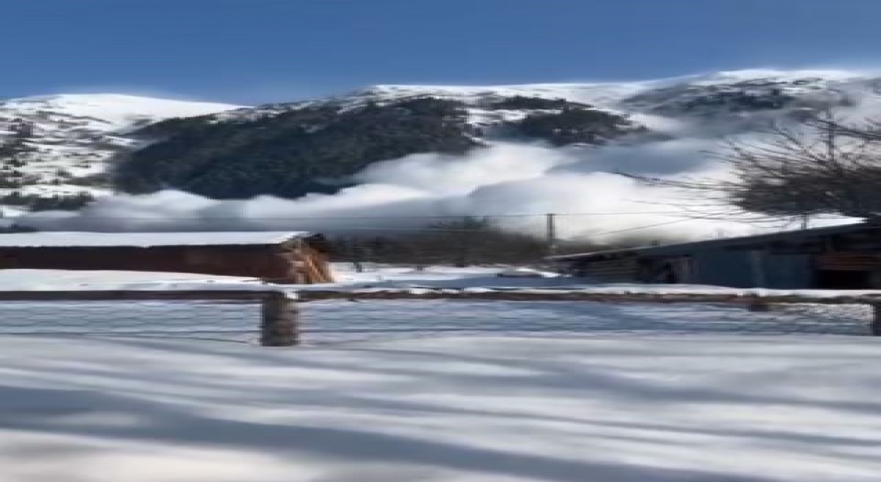 Artvinde çığ düşme anı kameraya yansıdı