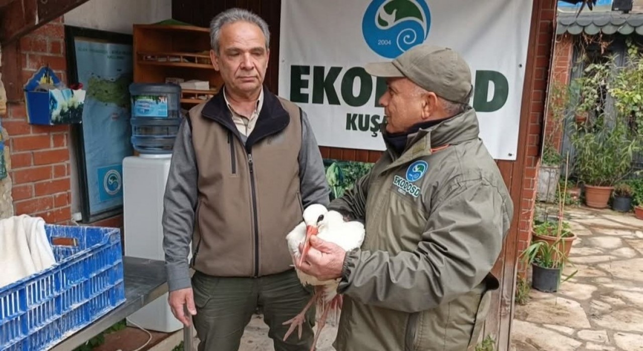 Aydında soğuktan etkilenen ‘Garip adlı leylek tedavi altına alındı