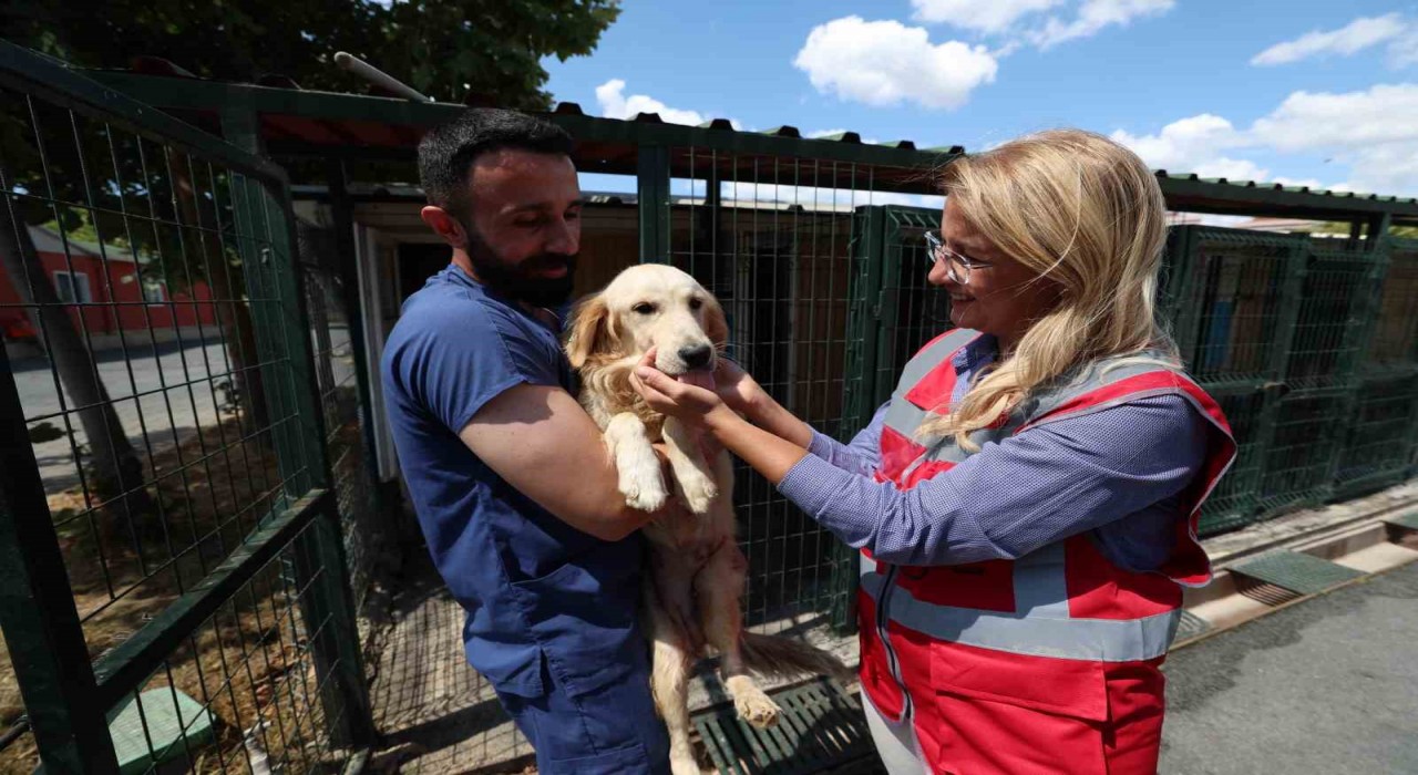 Bakırköy Belediyesi hayvanların yanında