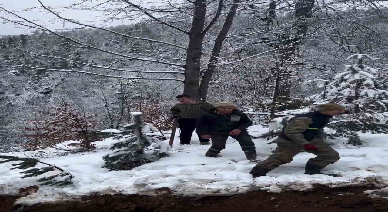 Bartında beklenen kar yağışı başladı