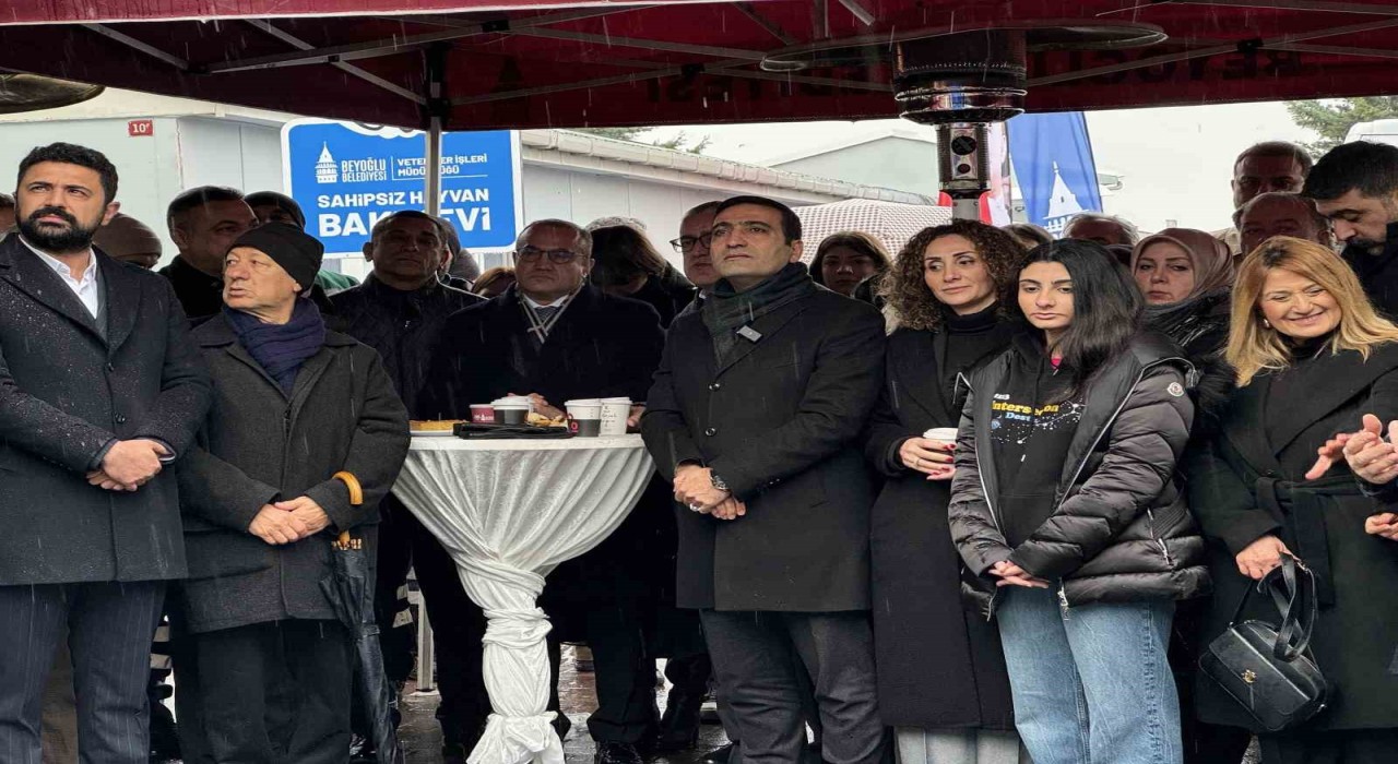Beyoğlunda Sahipsiz Hayvan Bakımevi hizmete açıldı