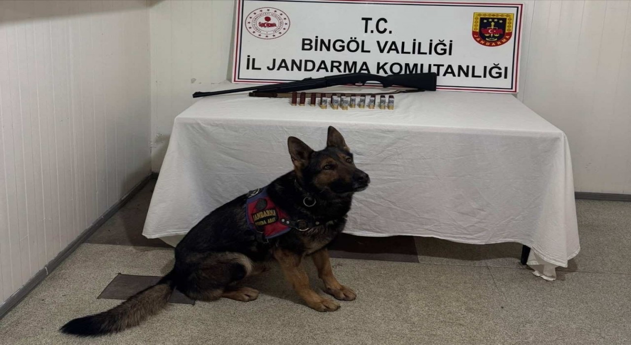 Bingölde 8 şüpheli yakalandı