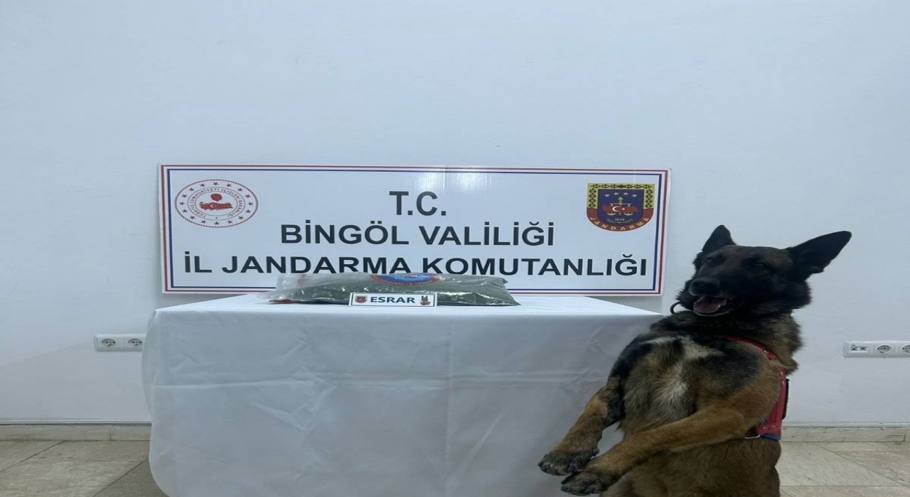 Bingölde uyuşturucu madde ele geçirildi, aranan 8 şüpheli yakalandı