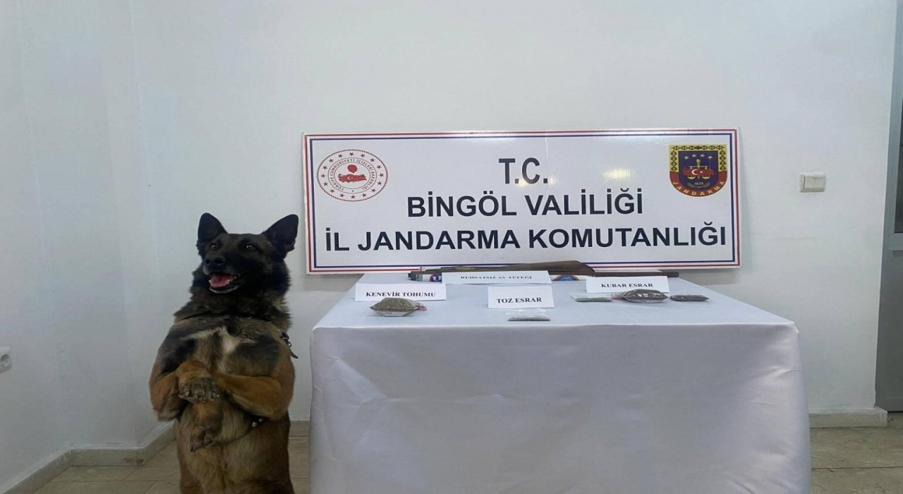 Bingölde uyuşturucu madde ve 3 adet tüfekle ele geçirildi