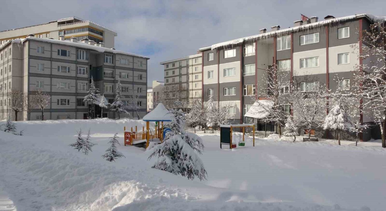 Bitliste kar yağışı: 219 köy yolu ulaşıma kapandı