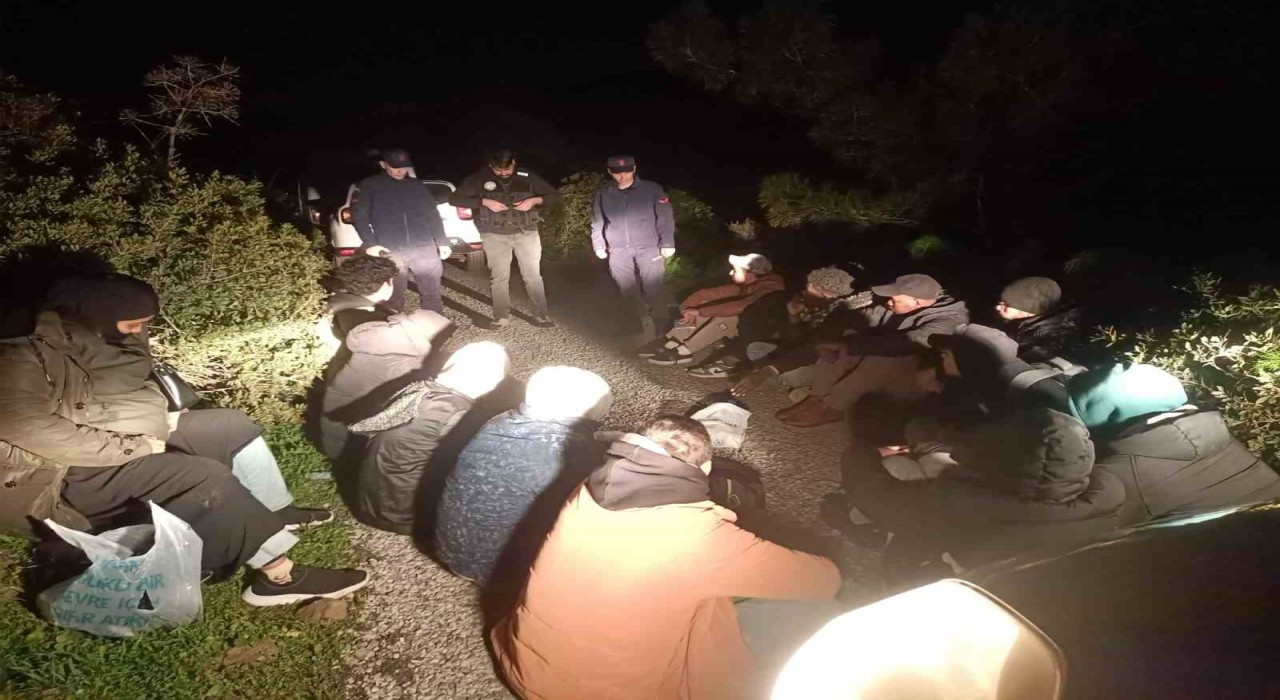 Bodrumda 17 düzensiz göçmen yakalandı