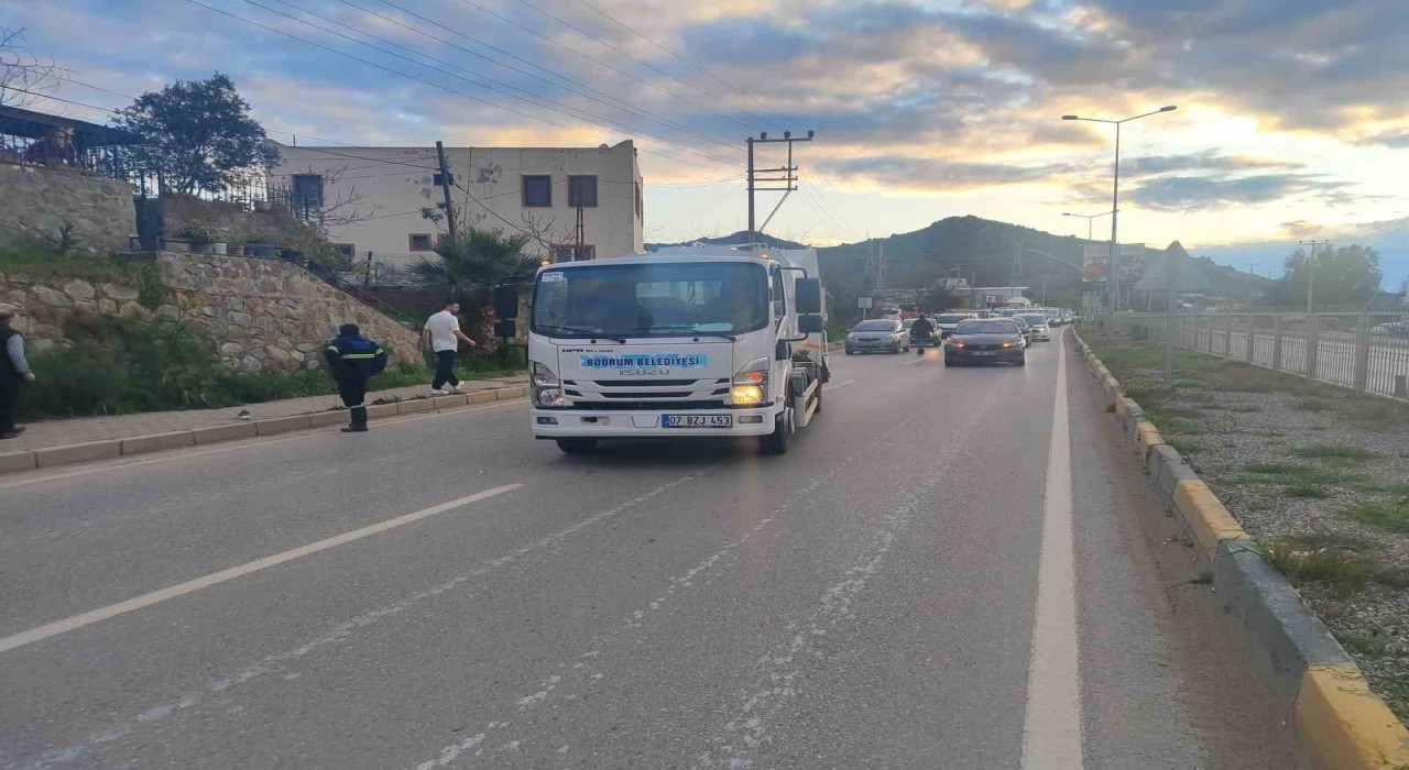Bodrumda köpeğin havlamasından irkildi, kamyonun altında kaldı