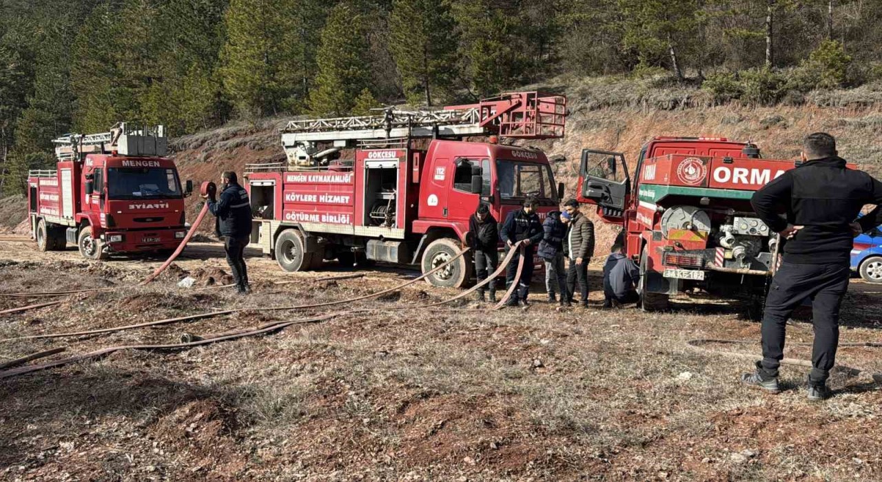 Boluda ormanlık alanda örtü yangını çıktı: 1 dönüm zarar gördü