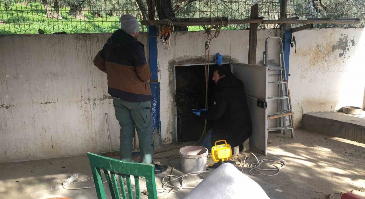 Bursada kaçak kazı operasyonu