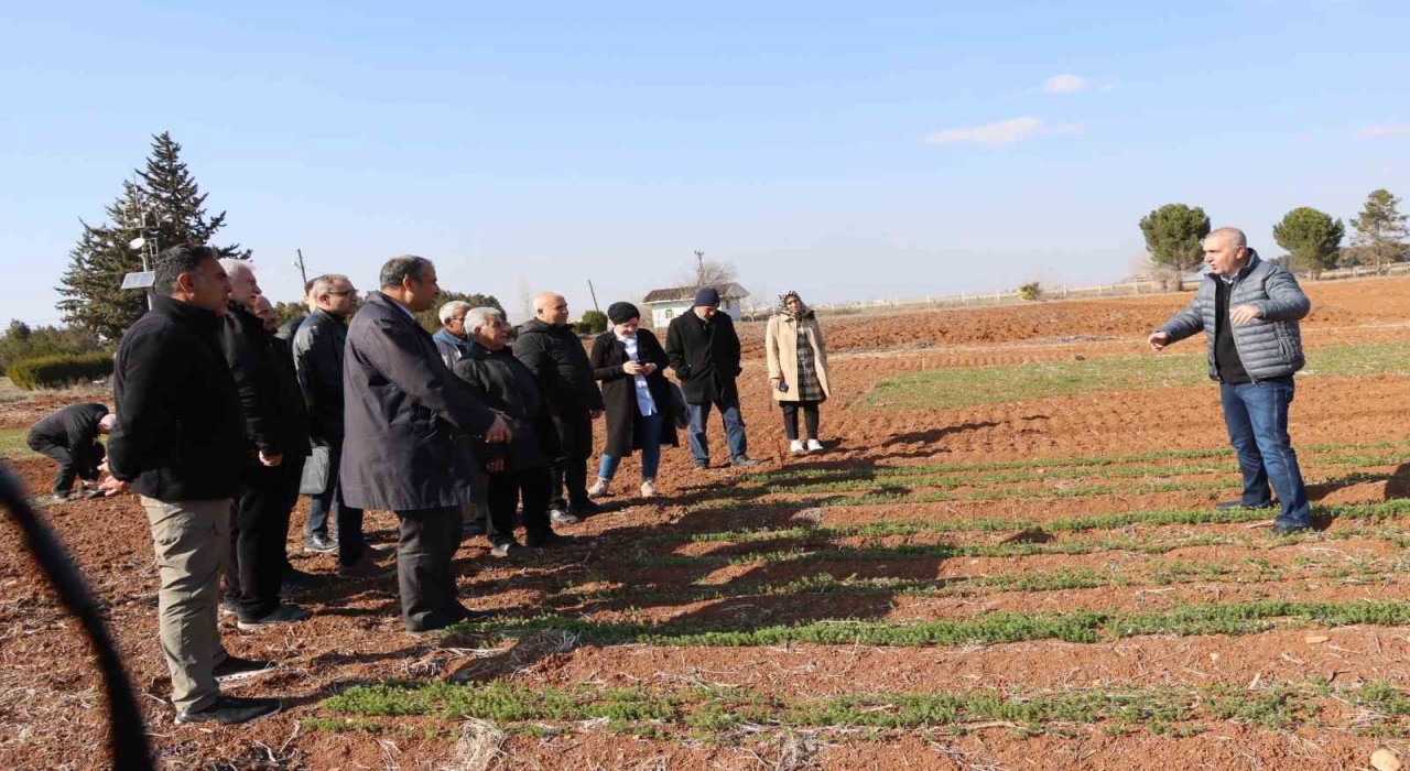 Büyükşehir Belediyesinden çiftçilere anıza ekim yöntemleri eğitimi