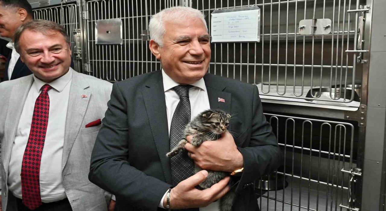 Büyükşehirden can dostları için önemli proje