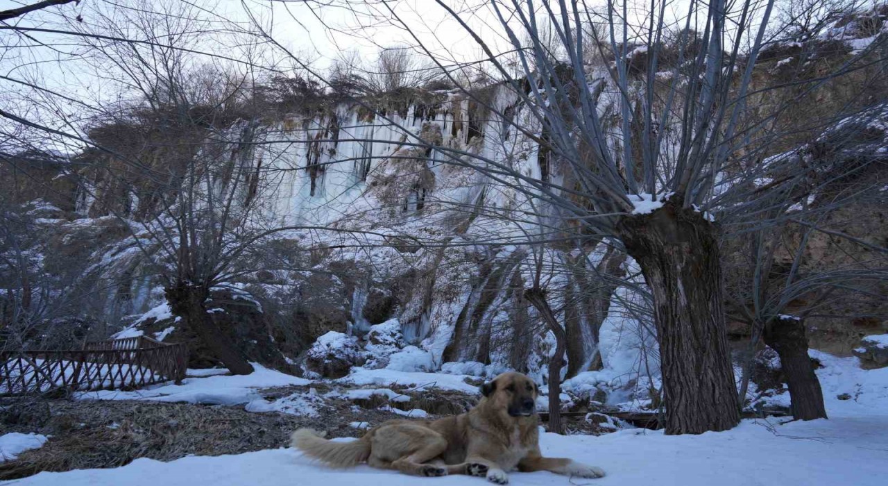Buz tutan Girlevik Şelalesinde 2 metrelik buz sarkıtları oluştu