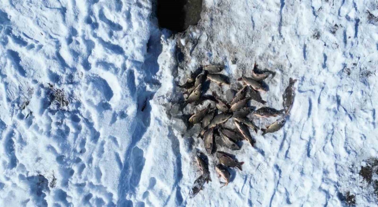 Buz tutan gölette ‘Eskimo usulü balık avı