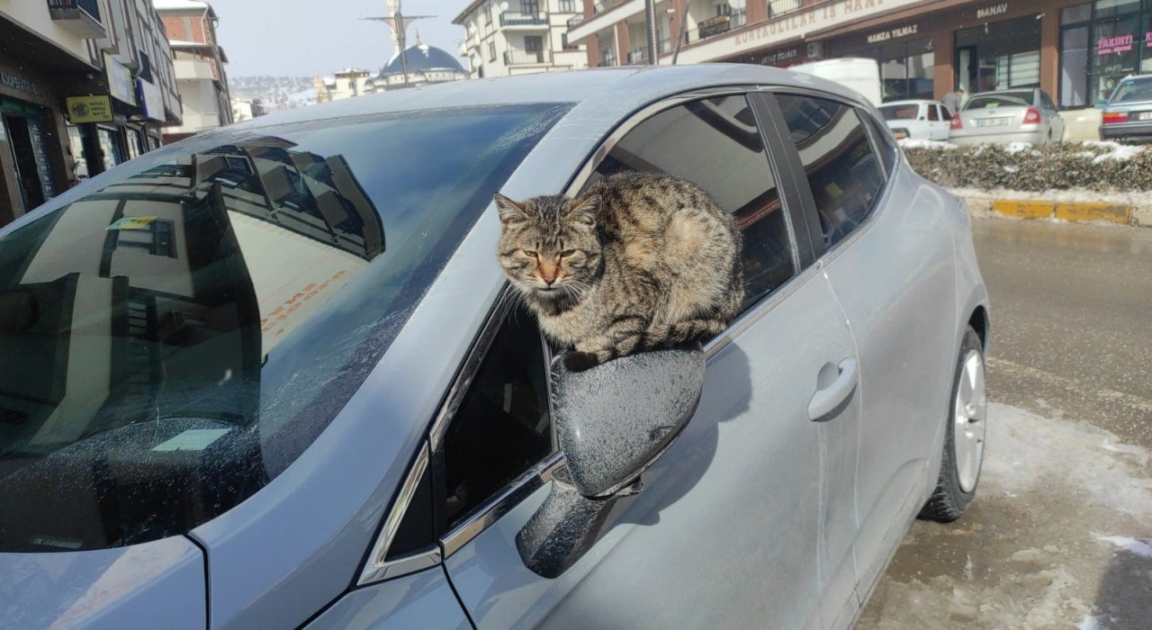 Çekerekte kartpostallık kar manzaraları oluştu