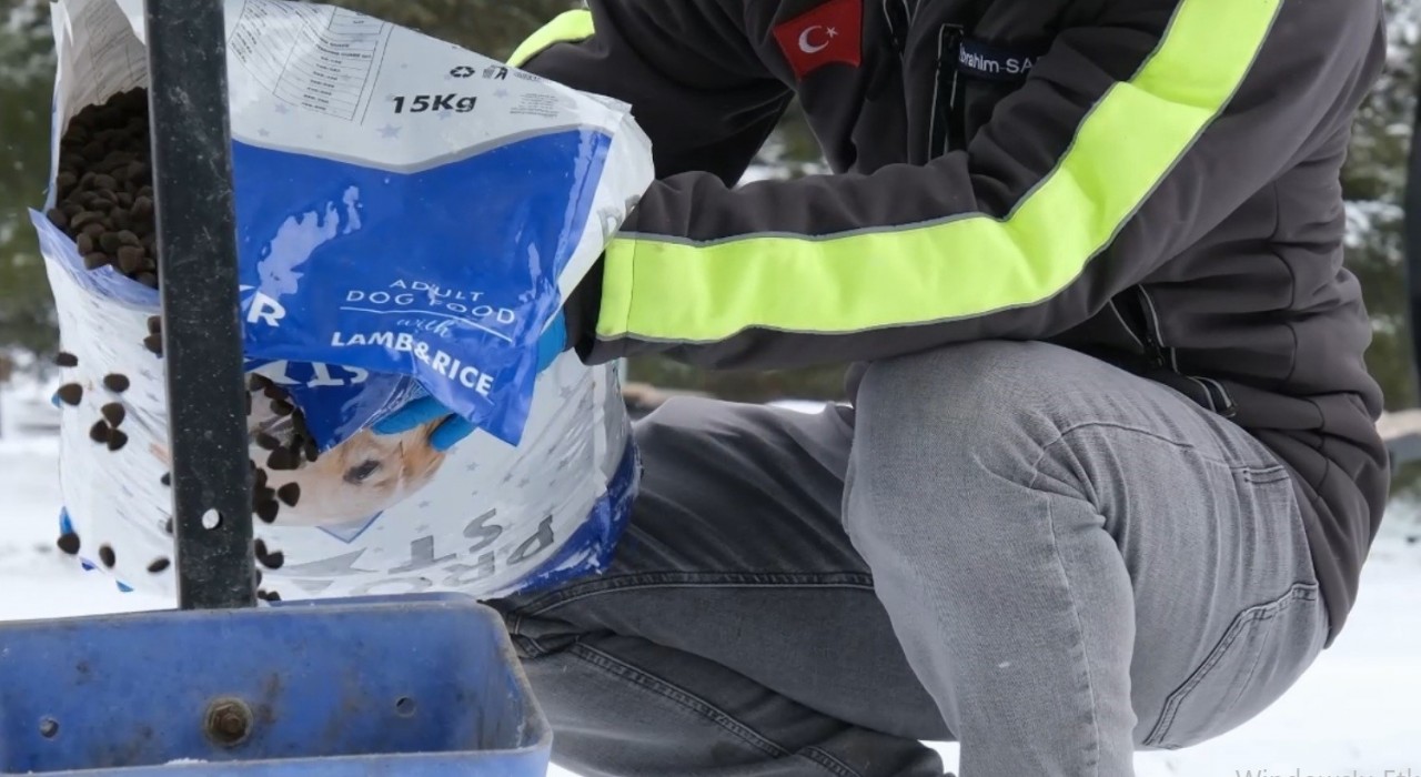 Çorum Belediyesinden doğadaki canlılara şefkat eli