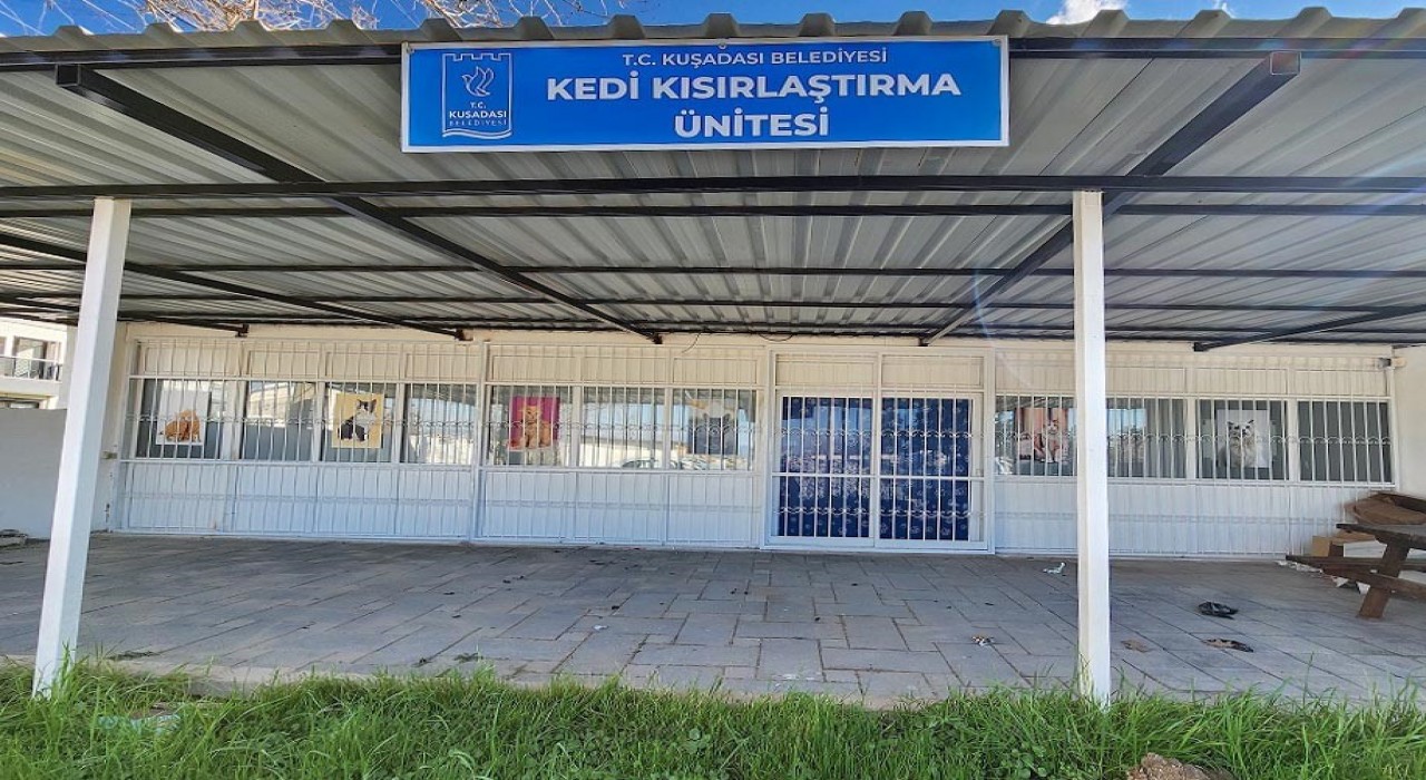 Davutlar Mahallesine kedi kısırlaştırma merkezi açılıyor