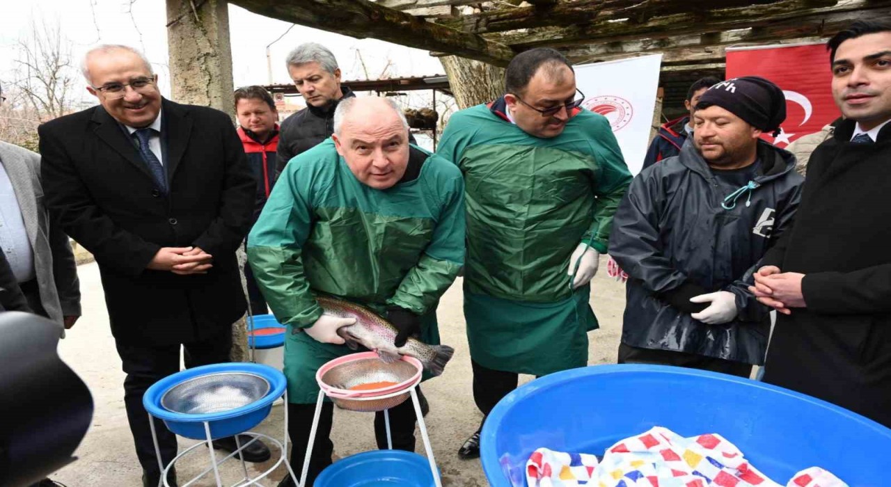 Denizlideki 101 tesiste 2 bin 200 ton alabalık üretiliyor