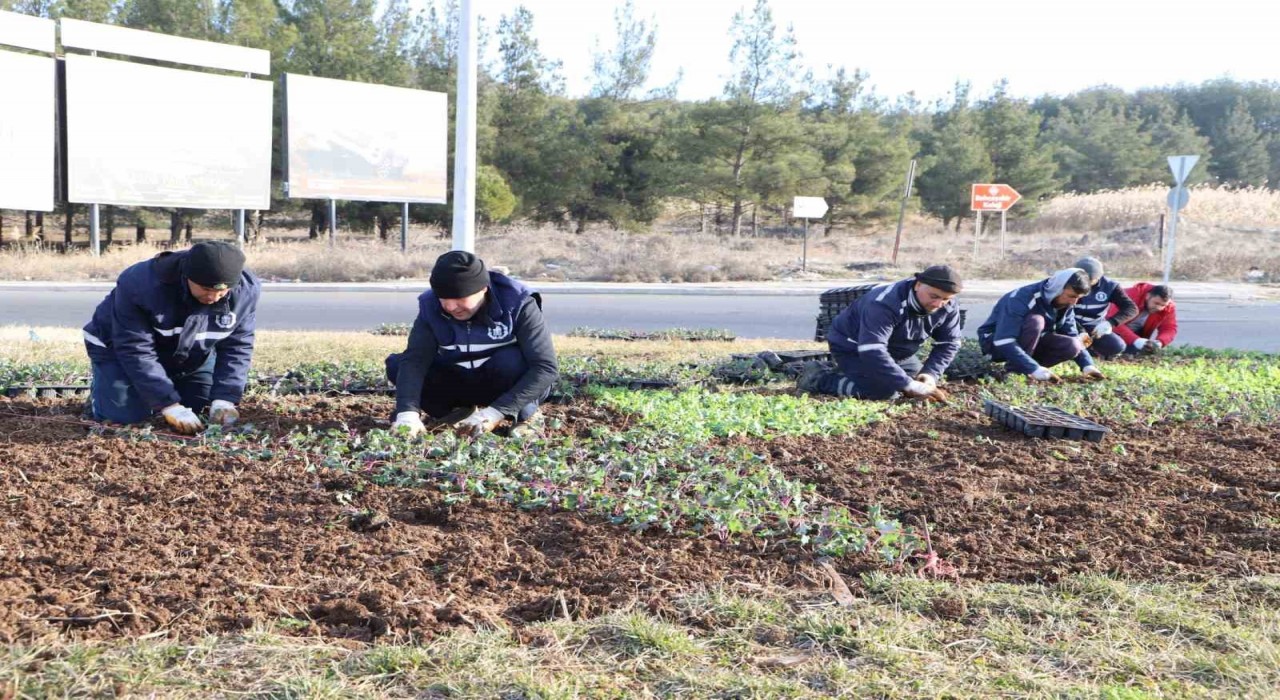 Diyarbakırda çiçeklendirme çalışmaları devam ediyor