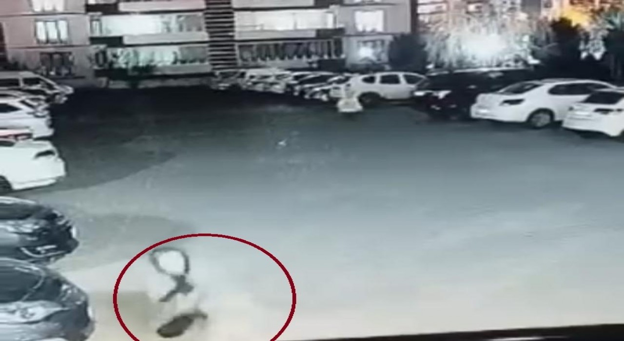 Diyarbakırda sokak köpeğinin saldırdığı 3 kişi yaralandı