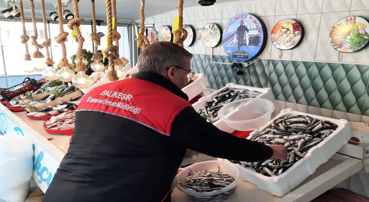 Edremitte balık denetimi