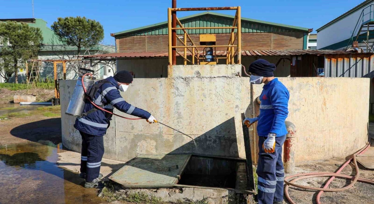 Efelerde sineklerle mücadele 12 ay boyunca devam ediyor