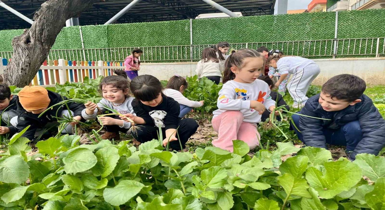Efelerde toprağa minik eller değdi