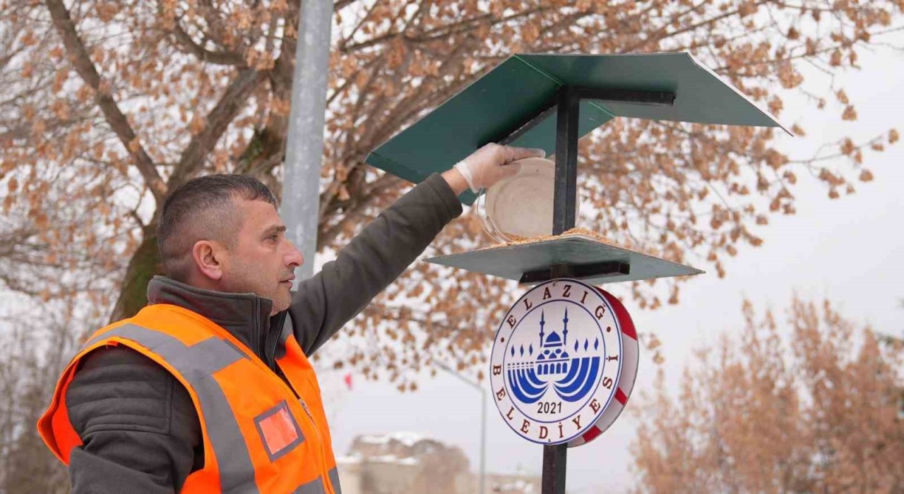 Elazığda yaban ve sokak hayvanlarına mama desteği