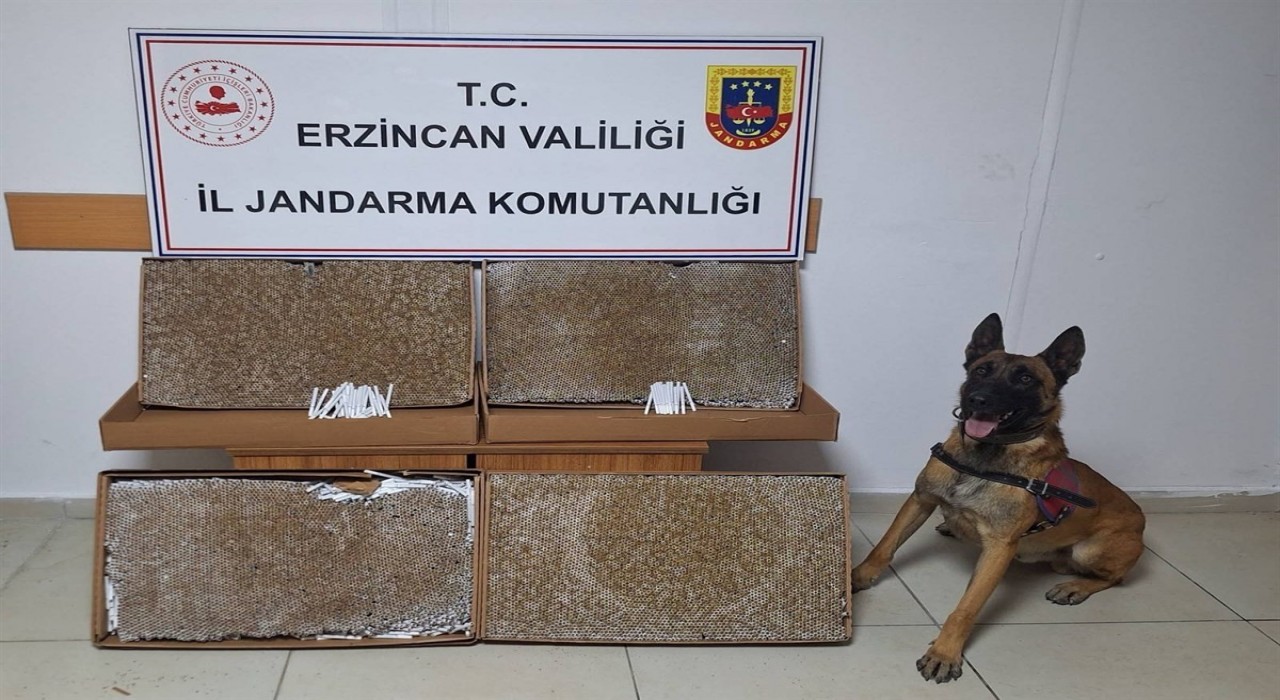 Erzincan Jandarma: 2025 Ocak’ta 127 Olay Aydınlatıldı