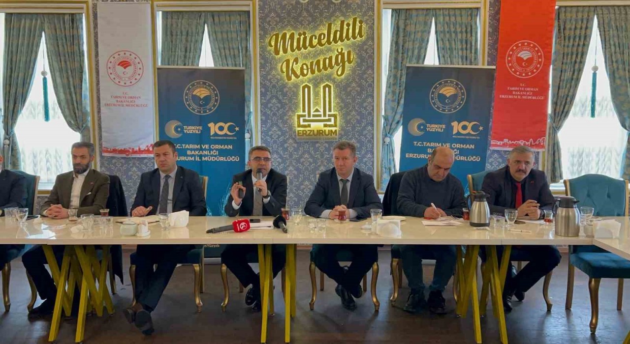 Erzurum büyükbaş hayvan sayısı ile Türkiyede üçüncü sırada yer alıyor