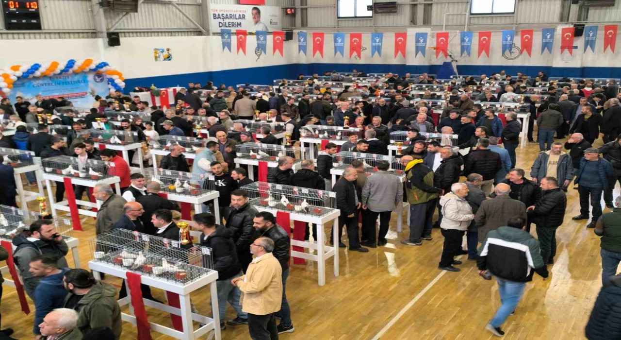 Esenler Güvercin Festivaline büyük ilgi